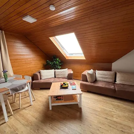 شقة In Der Naehe Von Europapark Kehl